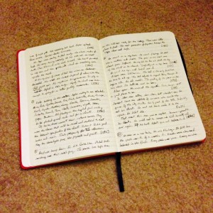 The first pages of my NaNoWriMo novel.