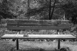 Shoes on Bench